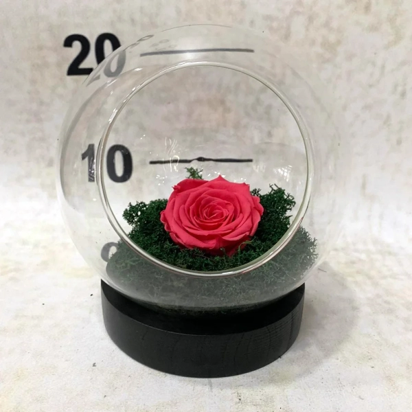 for-everr-roses-23
