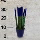 Sansevieria -6